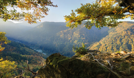 LAND-GUT-HOTEL GROßBACH Menzenschwand