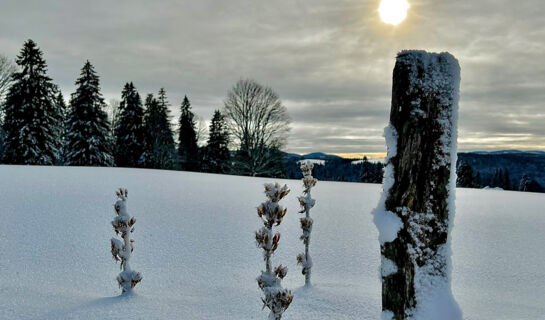 HÔTEL RESTAURANT LES CERNETS VAL-DE-TRAVERS Les Verrières