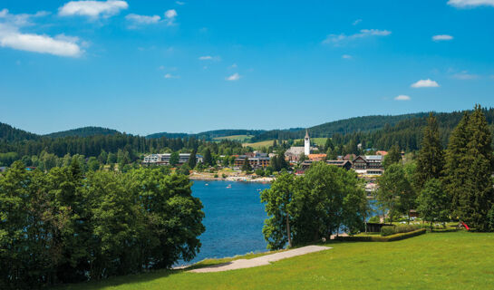 HOTEL SONNE HINTERZARTEN (B&B) Hinterzarten