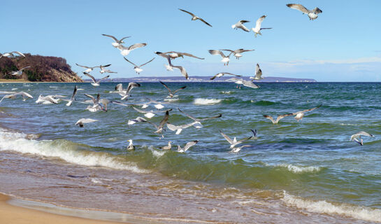 MEERBLAU · HOTEL · RÜGEN Sellin