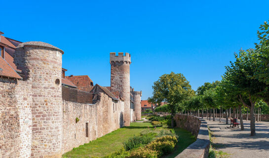 LES JARDINS D'ADALRIC (B&B) Obernai