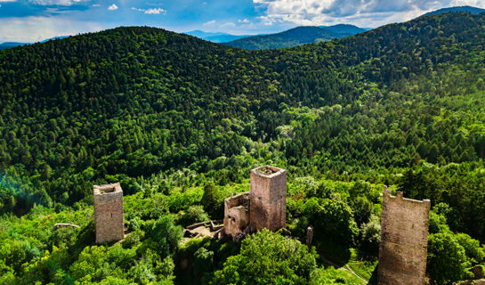 LES JARDINS D'ADALRIC (B&B) Obernai