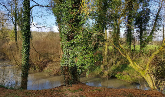 LE DOMAINE DE WAIL Wail