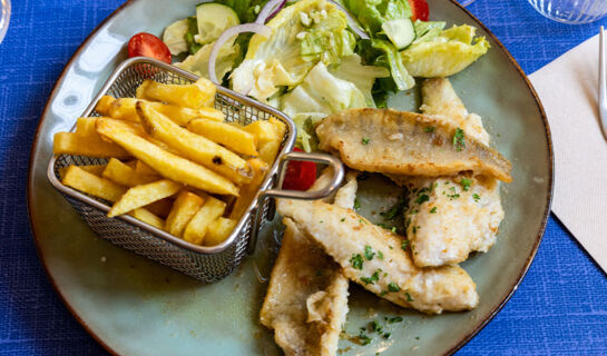 HÔTEL LE FER À CHEVAL Yenne