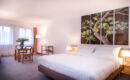 HÔTEL SAGITTA (B&B) Geneva