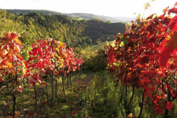 HOTEL JOHANNISHOF - RESTAURANT & WEINGUT Langsur