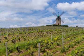 HÔTEL & RESTAURANT VUILLOT Cuiseaux