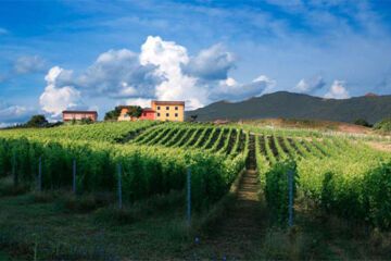 TENUTA GRIMALDI WINE RESORT (B&B) Matelica