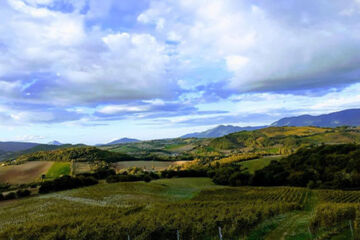 TENUTA GRIMALDI WINE RESORT (B&B) Matelica