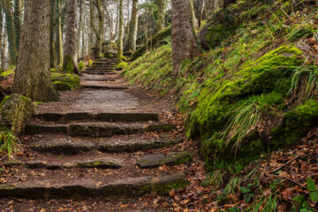 SUD HÔTEL Huttenheim