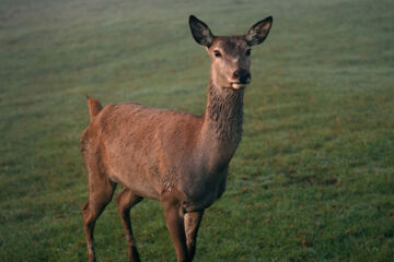 BERGHOTEL JÄGERHOF Isny im Allgäu