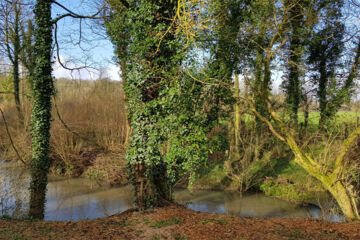 LE DOMAINE DE WAIL Wail