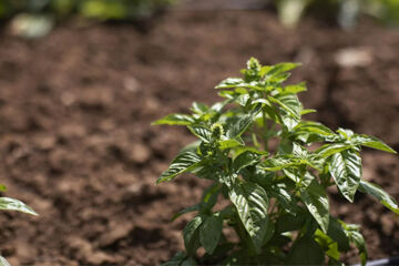 AGRIRESORT LEANO Piazza Armerina