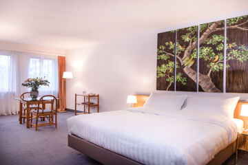 HÔTEL SAGITTA (B&B) Geneva