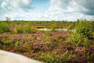 LANDHOTEL 
